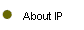 About IP